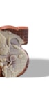Sint Letters