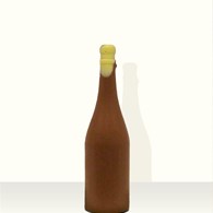 Chocolade Champagne fles