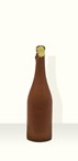 Chocolade Champagne fles